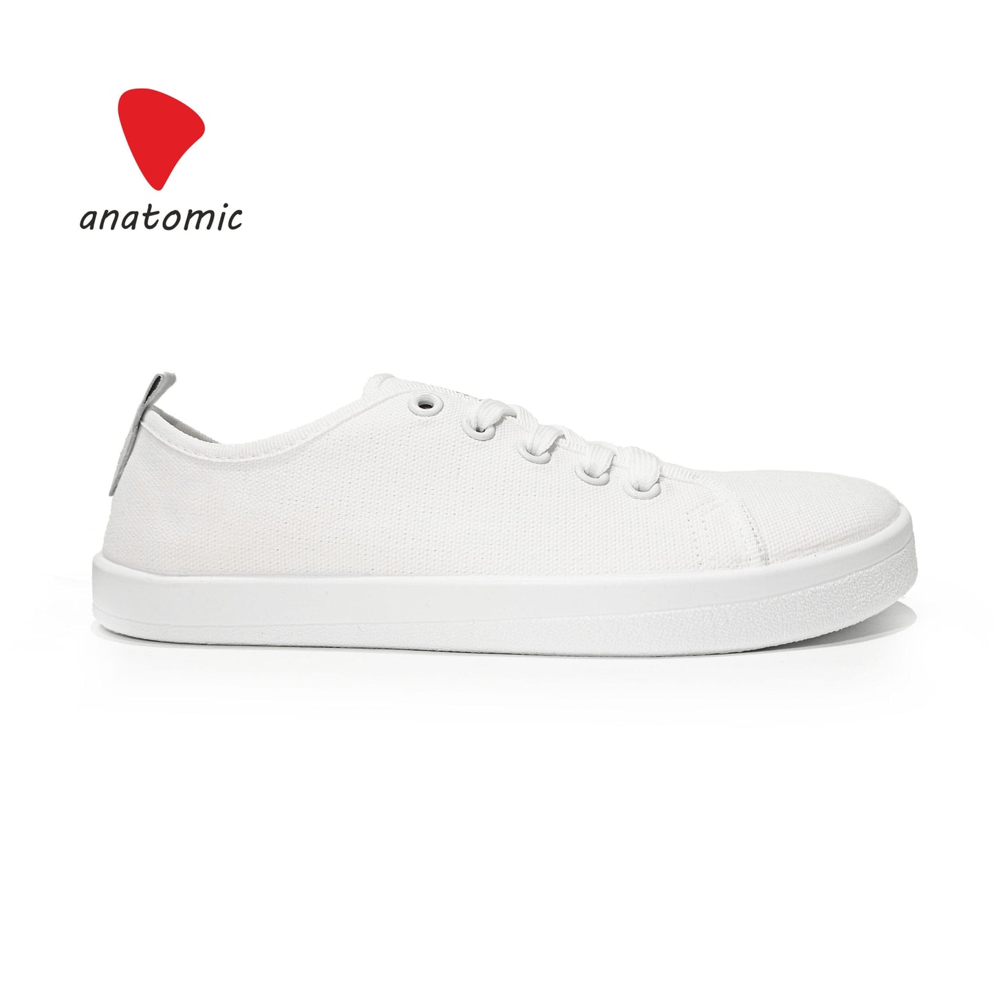 Anatomic Starter Canvas